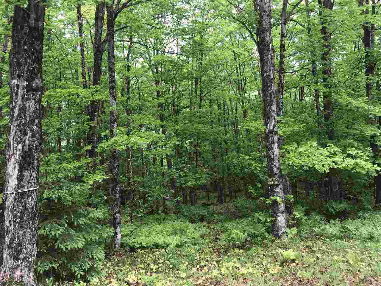 304 Danforth Road Pittsburg, NH 03592 - Photo 10 of 12 Gallery Image 10