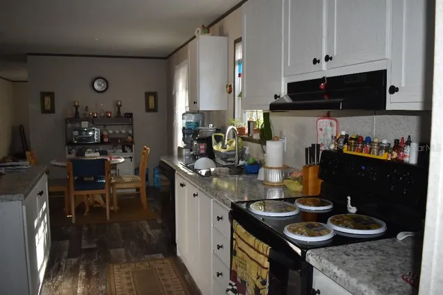 a view of a yard with plants and trees