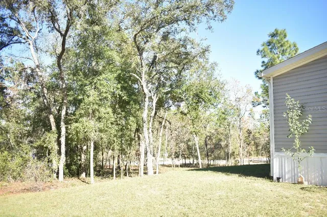 a view of a yard with trees