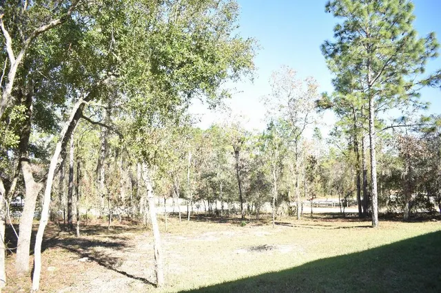 a backyard of a house with trees and outdoor space
