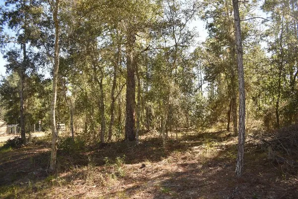 $235,000 | 13230 Northeast 9th Street, Williston, FL 32696