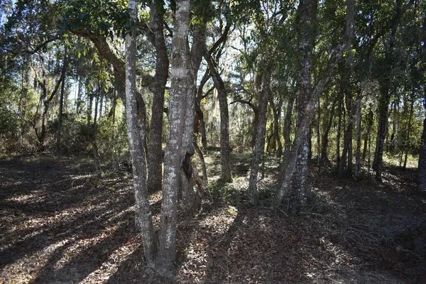 $235,000 | 13230 Northeast 9th Street, Williston, FL 32696