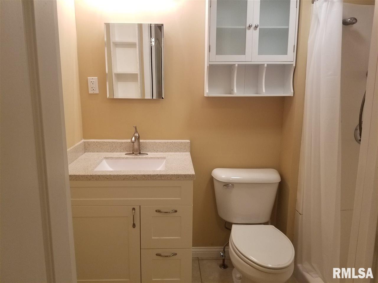 337 North Lincoln Avenue Springfield, IL 62702 - Photo 9 of 18