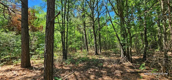 $481,425 | 3230 Southeast County Road 3230, Clarksville, TX 75426