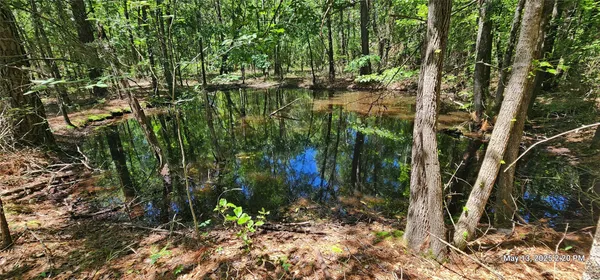 $481,425 | 3230 Southeast County Road 3230, Clarksville, TX 75426