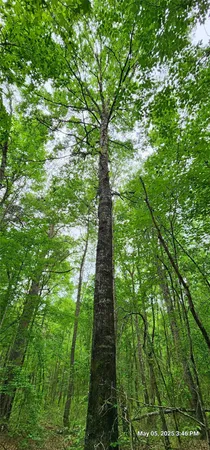 $481,425 | 3230 Southeast County Road 3230, Clarksville, TX 75426