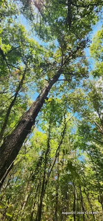 $481,425 | 3230 Southeast County Road 3230, Clarksville, TX 75426