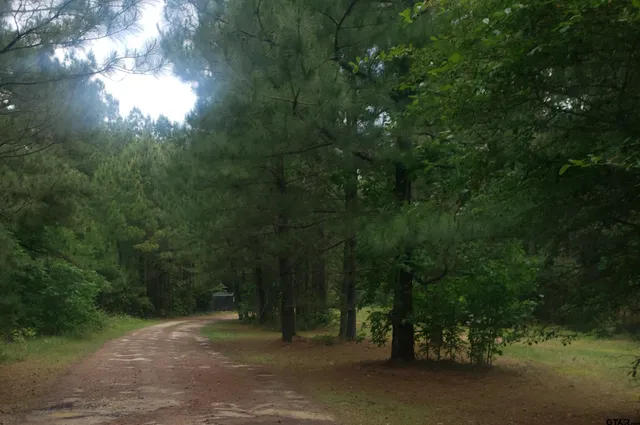 a view of a grassy field with trees
