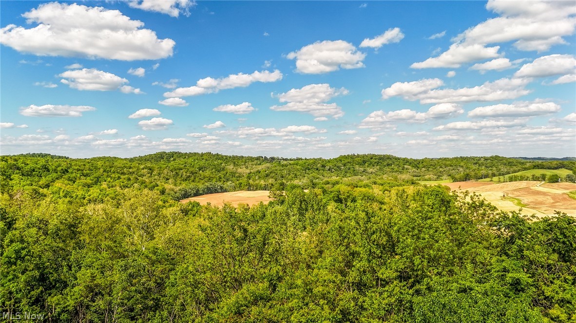 1602 Glendale Road, Unit 3 Marietta, OH 45750 - Photo 47 of 49 Expansive views of farm land and wooded acres.