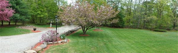 37 Johnson Road Sutton, MA 01590 - Photo 4 of 25 a view of a street with a large trees