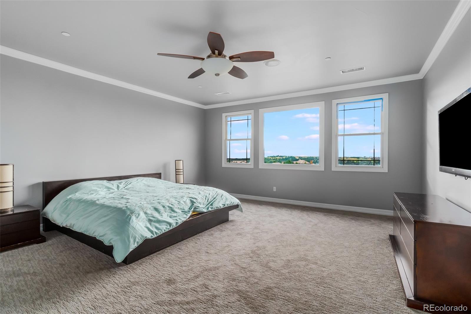 6157 Massive Peak Loop Castle Rock, CO 80108 - Photo 21 of 40