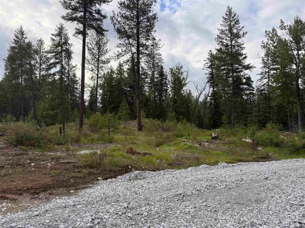 $119,900 | Nkn Lot 1 Nkn Road, Newport, WA 99156