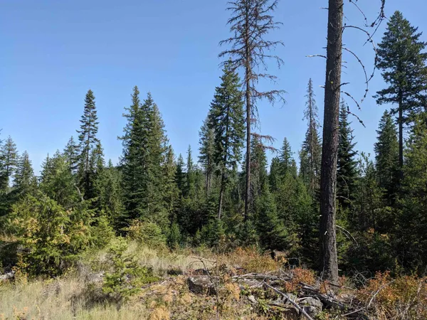 $119,900 | Nkn Lot 1 Nkn Road, Newport, WA 99156