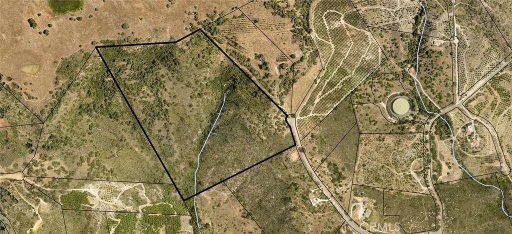 15 Vía Escalon Temecula, CA 92590 - Photo 12 of 42 a picture of a tree