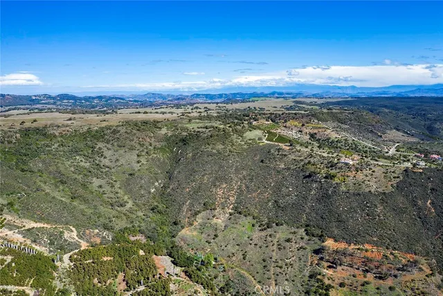 a view of a forest with a forest