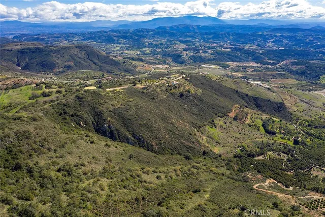 a view of a forest with a building