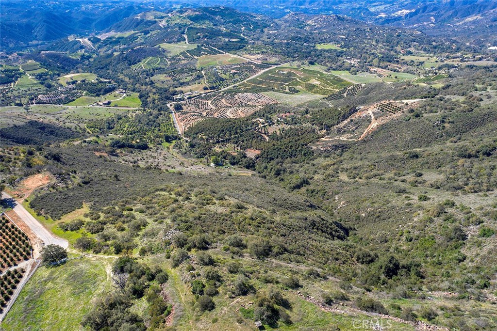 15 Vía Escalon Temecula, CA 92590 - Photo 20 of 42 a view of a forest with a forest
