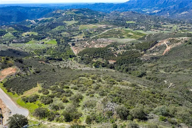 a view of a forest with trees in the background