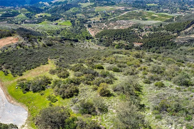a view of a field with a mountain in the background