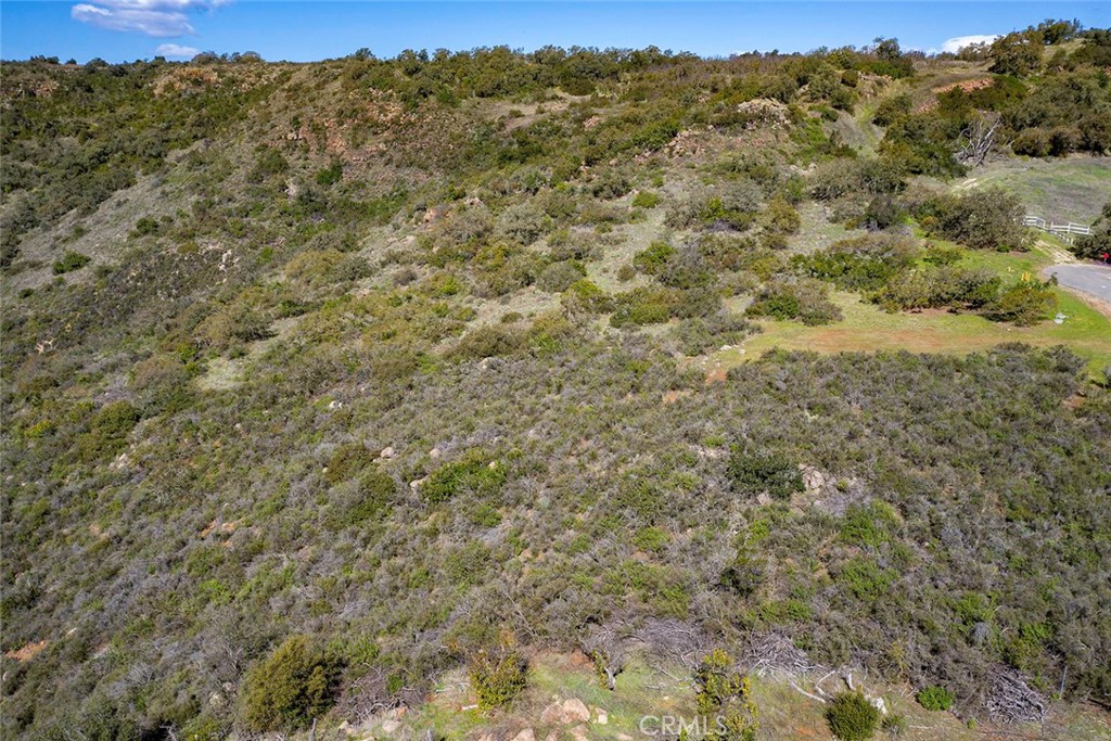 15 Vía Escalon Temecula, CA 92590 - Photo 24 of 42 a view of a forest with trees in the background
