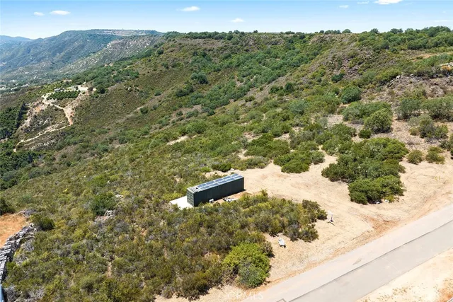 a view of a tree with a mountain