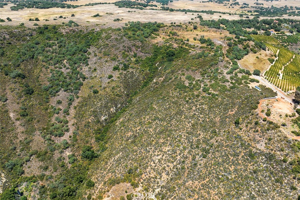 15 Vía Escalon Temecula, CA 92590 - Photo 39 of 42 a view of a dry yard with trees