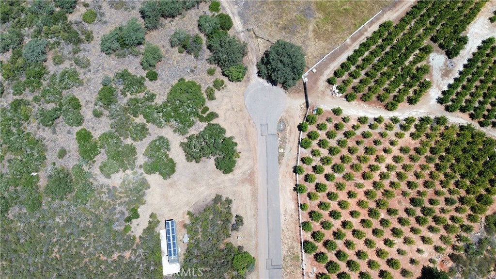 15 Vía Escalon Temecula, CA 92590 - Photo 10 of 42 a view of a garden