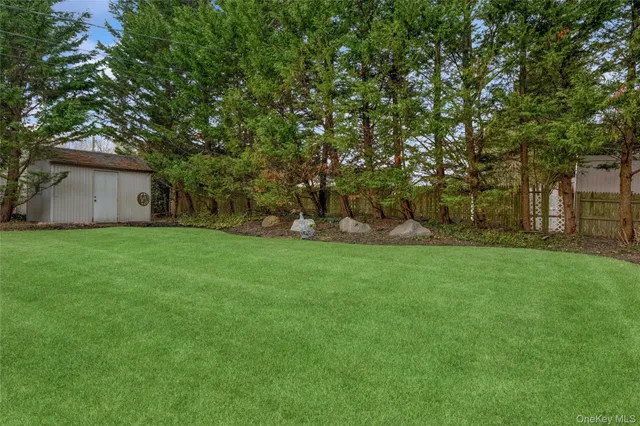 a view of a ground with large trees