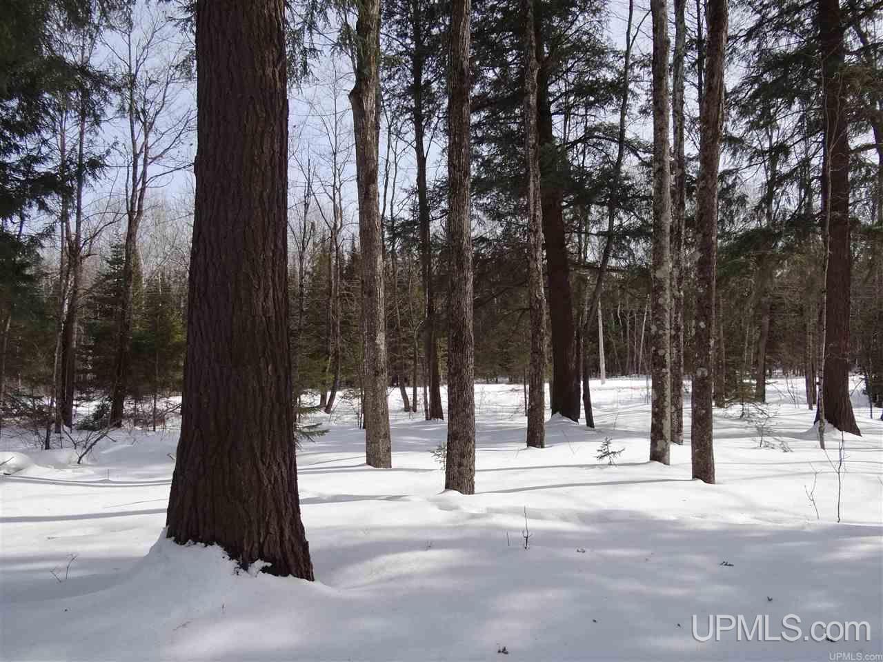 Tbd Dogpatch Road, Unit LOT J Lanse, MI 49946 - Photo 14 of 16