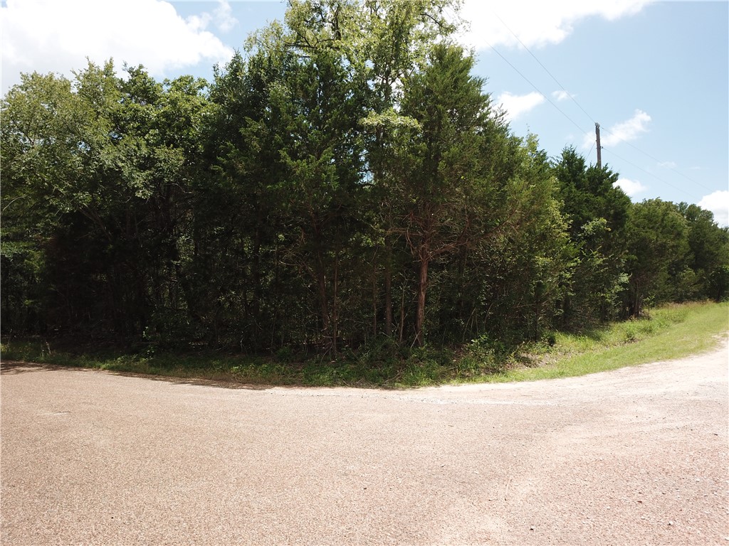 304 Overlook Loop Somerville, TX 77879 - Photo 16 of 17