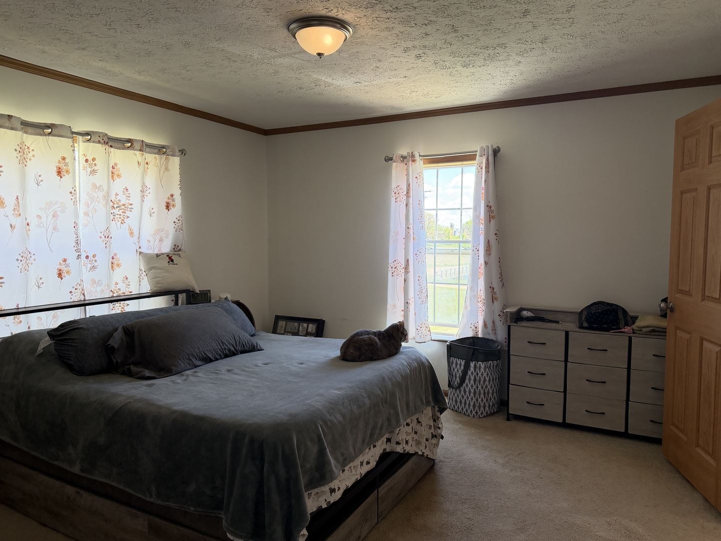 14905 Covell Road Morrison, IL 61270 - Photo 12 of 21