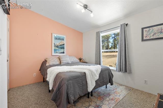 391 Kutsu Ridge Road Florissant, CO 80816 - Photo 26 of 50 Gallery Image 26