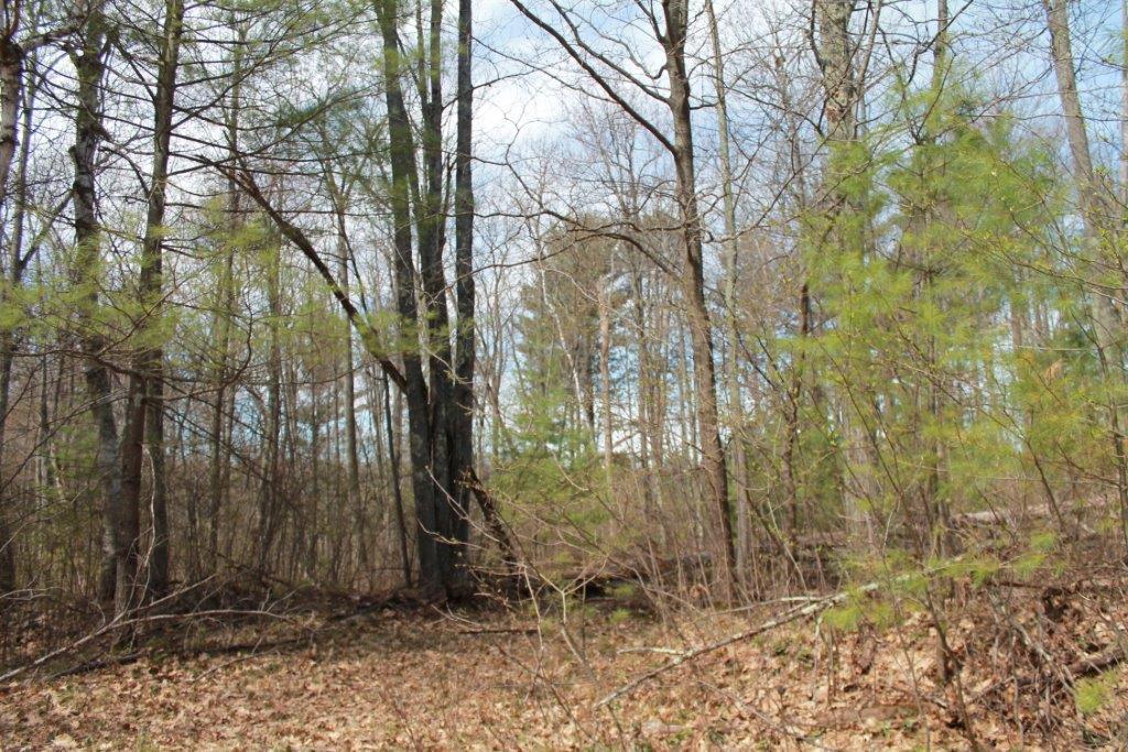 On Numa Road, Unit LOT 15 Hazelhurst, WI 54531 - Photo 10 of 23 Gallery Image 10