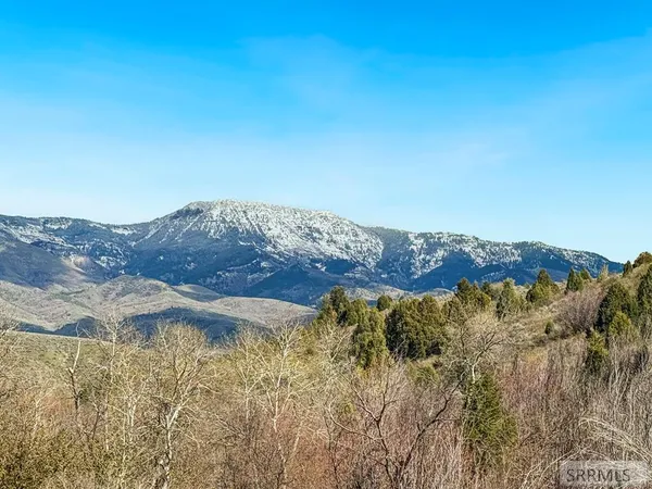 $1,300,000 | Tbd West Walker Creek Road, McCammon, ID 83250