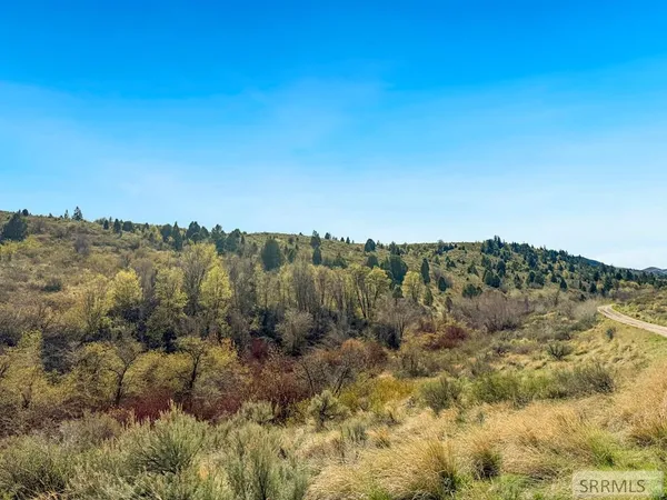 $1,300,000 | Tbd West Walker Creek Road, McCammon, ID 83250