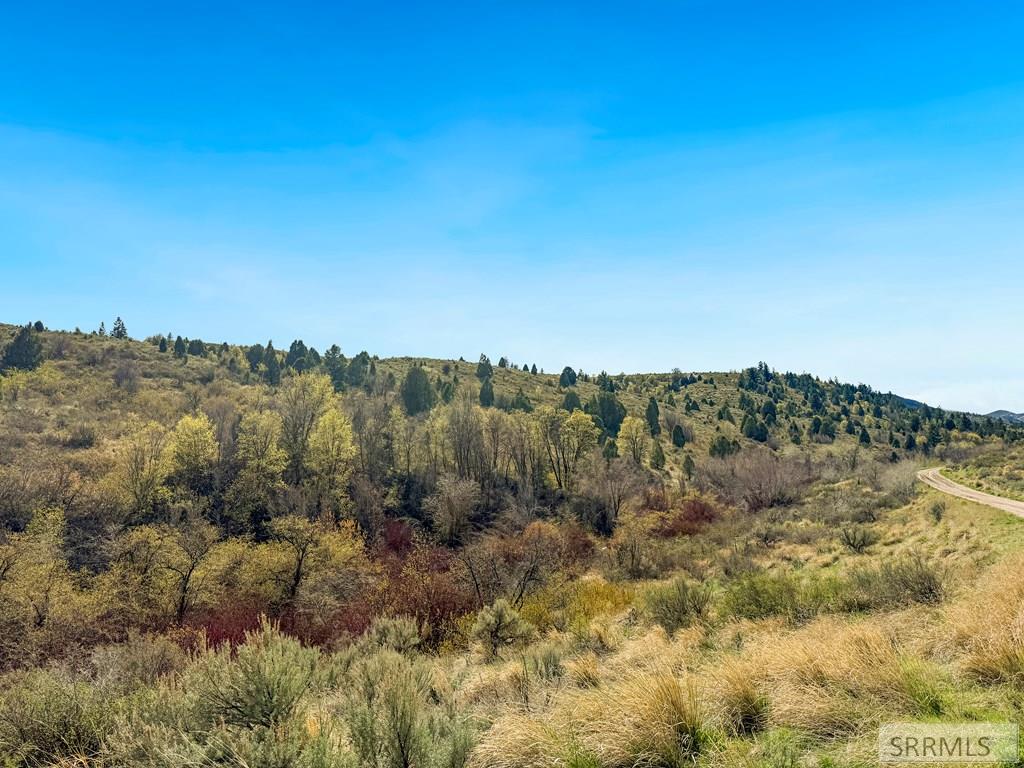 Tbd West Walker Creek Road McCammon, ID 83250 - Photo 3 of 11