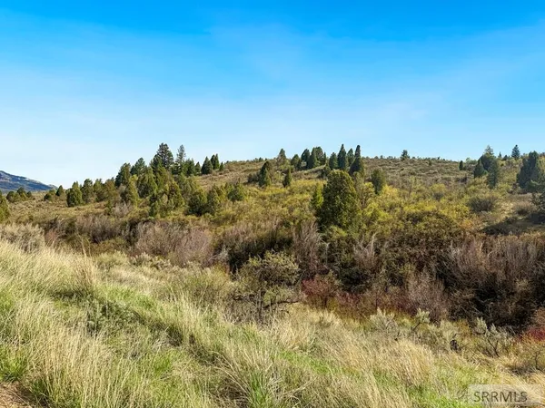 $1,300,000 | Tbd West Walker Creek Road, McCammon, ID 83250