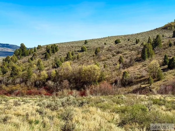 $1,300,000 | Tbd West Walker Creek Road, McCammon, ID 83250