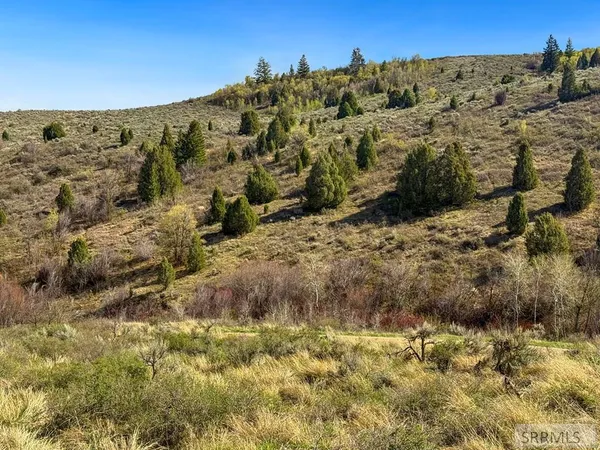 $1,300,000 | Tbd West Walker Creek Road, McCammon, ID 83250