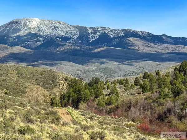 $1,300,000 | Tbd West Walker Creek Road, McCammon, ID 83250