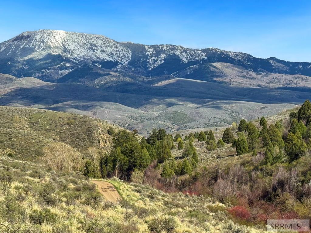 Tbd West Walker Creek Road McCammon, ID 83250 - Photo 9 of 11