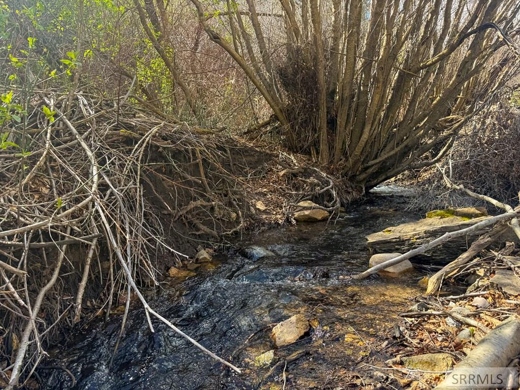 Tbd West Walker Creek Road McCammon, ID 83250 - Photo 10 of 11