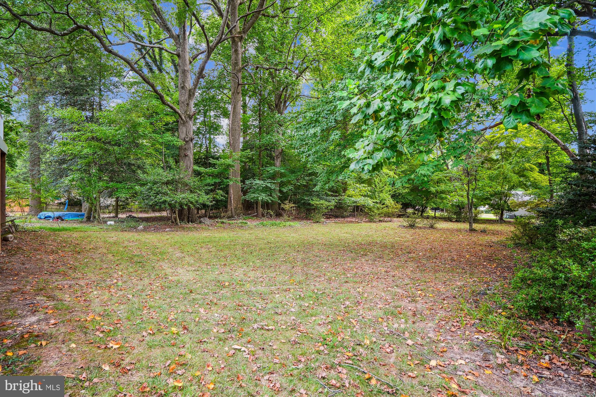 6507 Brooklyn Bridge Road Laurel, MD 20707 - Photo 48 of 55 Back Yard