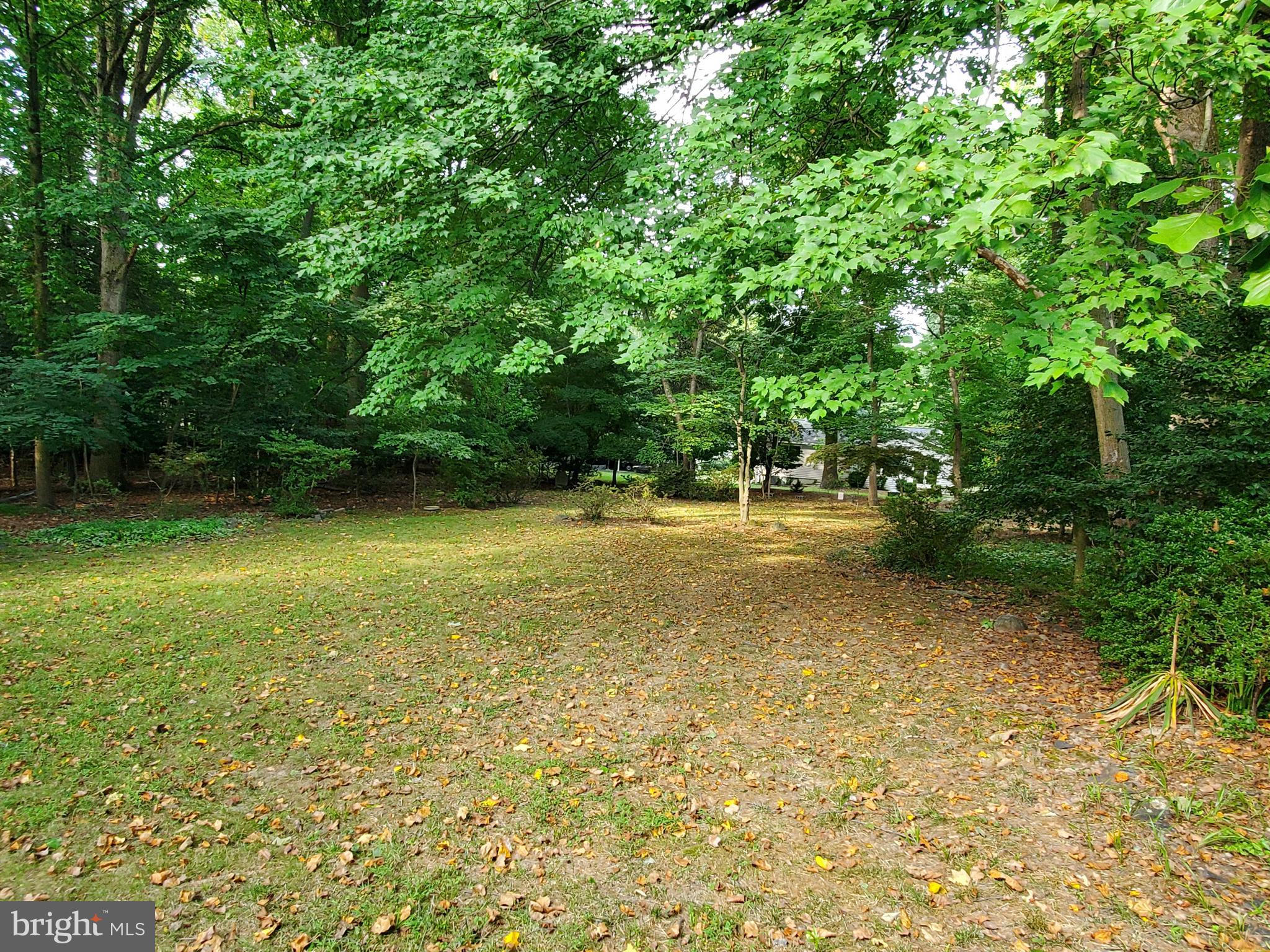 6507 Brooklyn Bridge Road Laurel, MD 20707 - Photo 49 of 55 Gallery Image 49