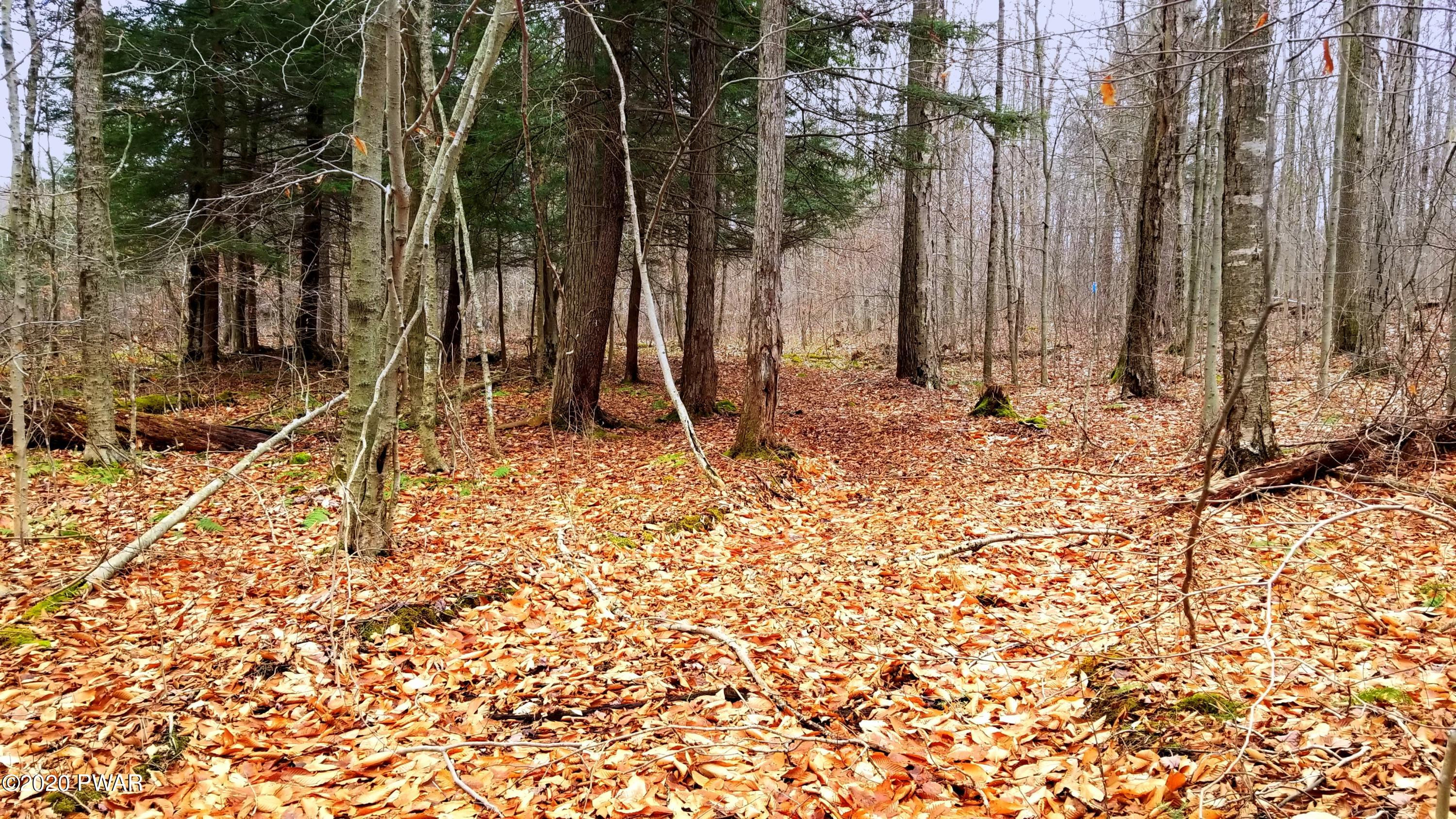 Lot 80 Stonegate Road Equinunk, PA 18417 - Photo 38 of 58