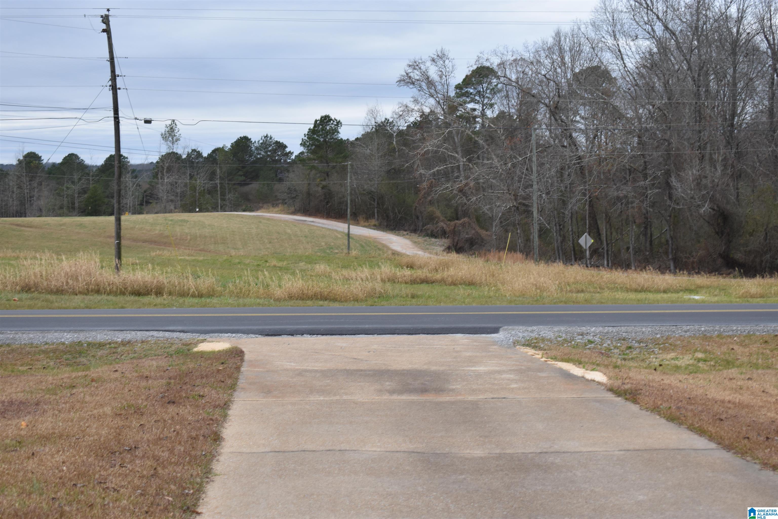 4723 Smith Lake Dam Road Jasper, AL 35504 - Photo 46 of 47