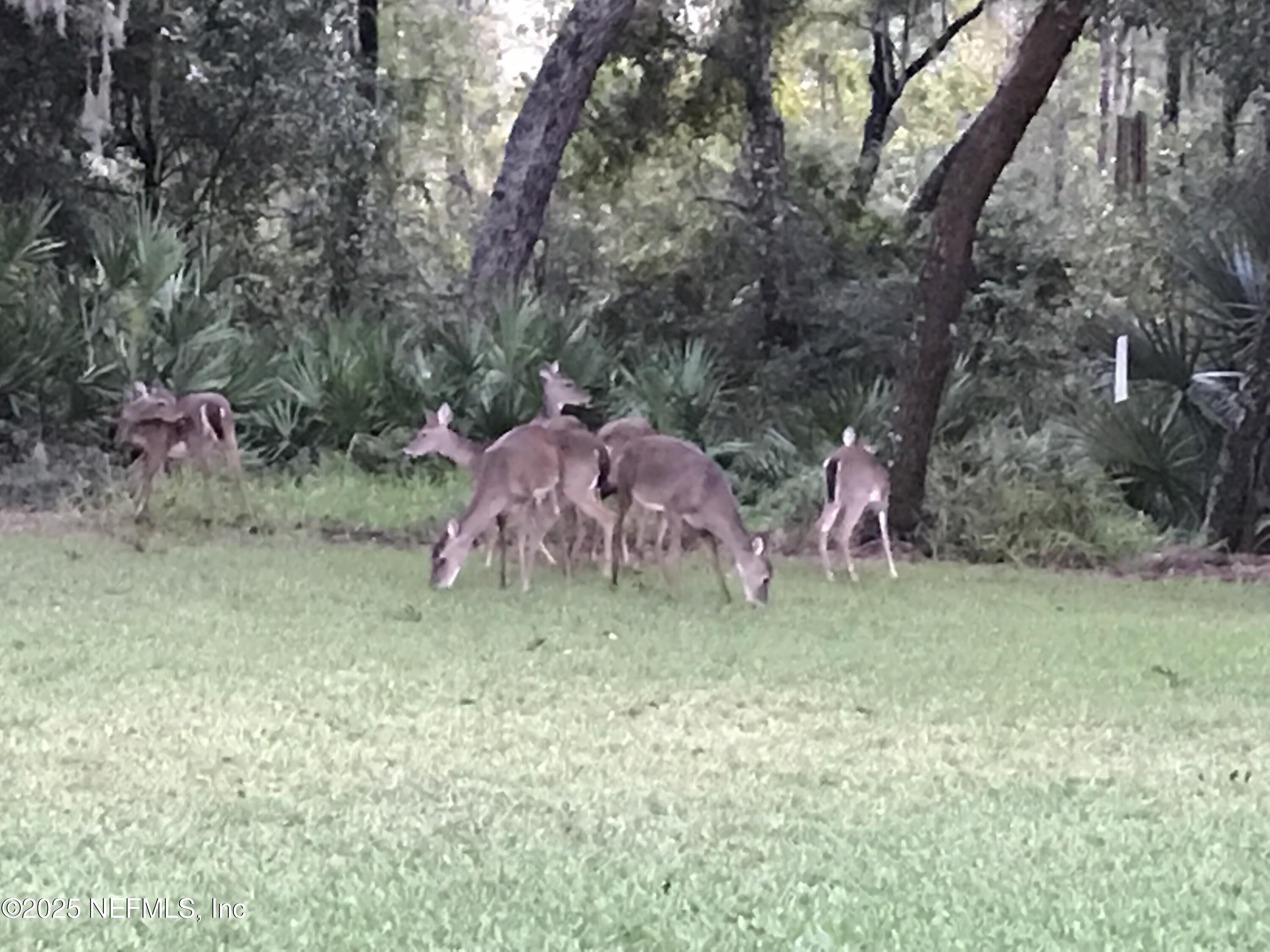 757 Old Loggers Way St. Augustine, FL 32086 - Photo 39 of 39 346FA0E9-51D5-49C3-B24B-C321CEC2F5DF