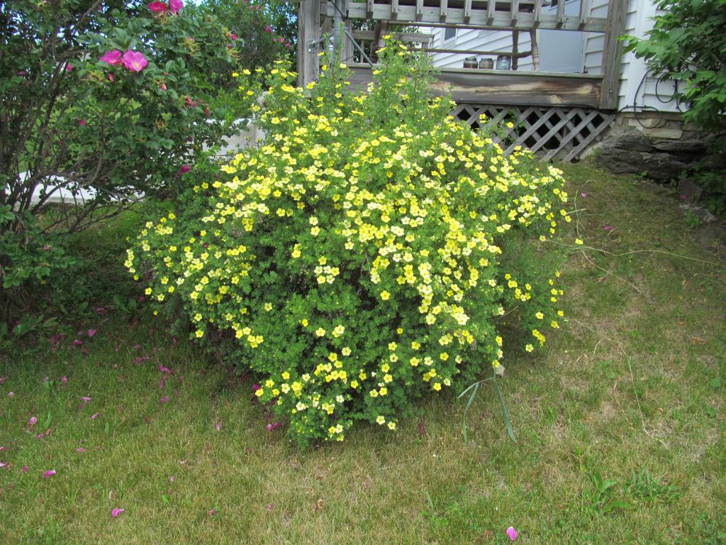 1254 Pleasant Street West Rutland, VT 05777 - Photo 25 of 36 Gallery Image 25