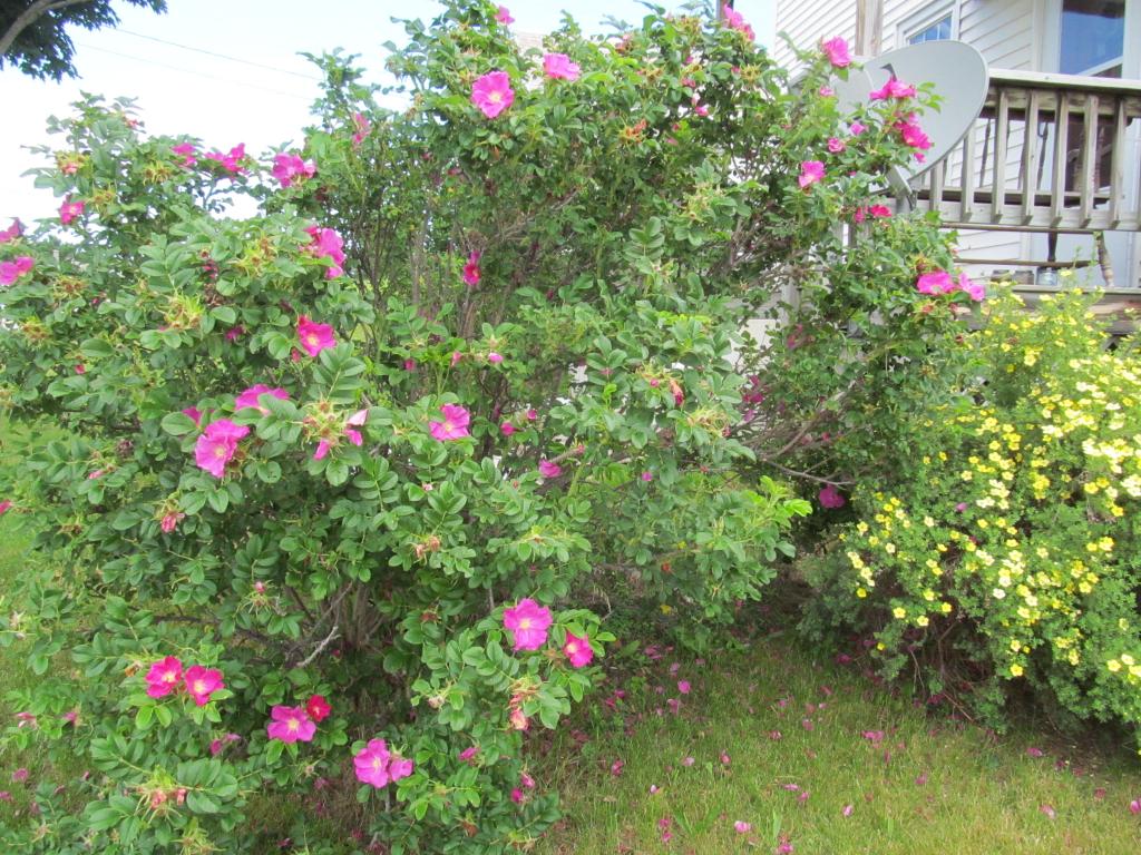 1254 Pleasant Street West Rutland, VT 05777 - Photo 26 of 36 Gallery Image 26