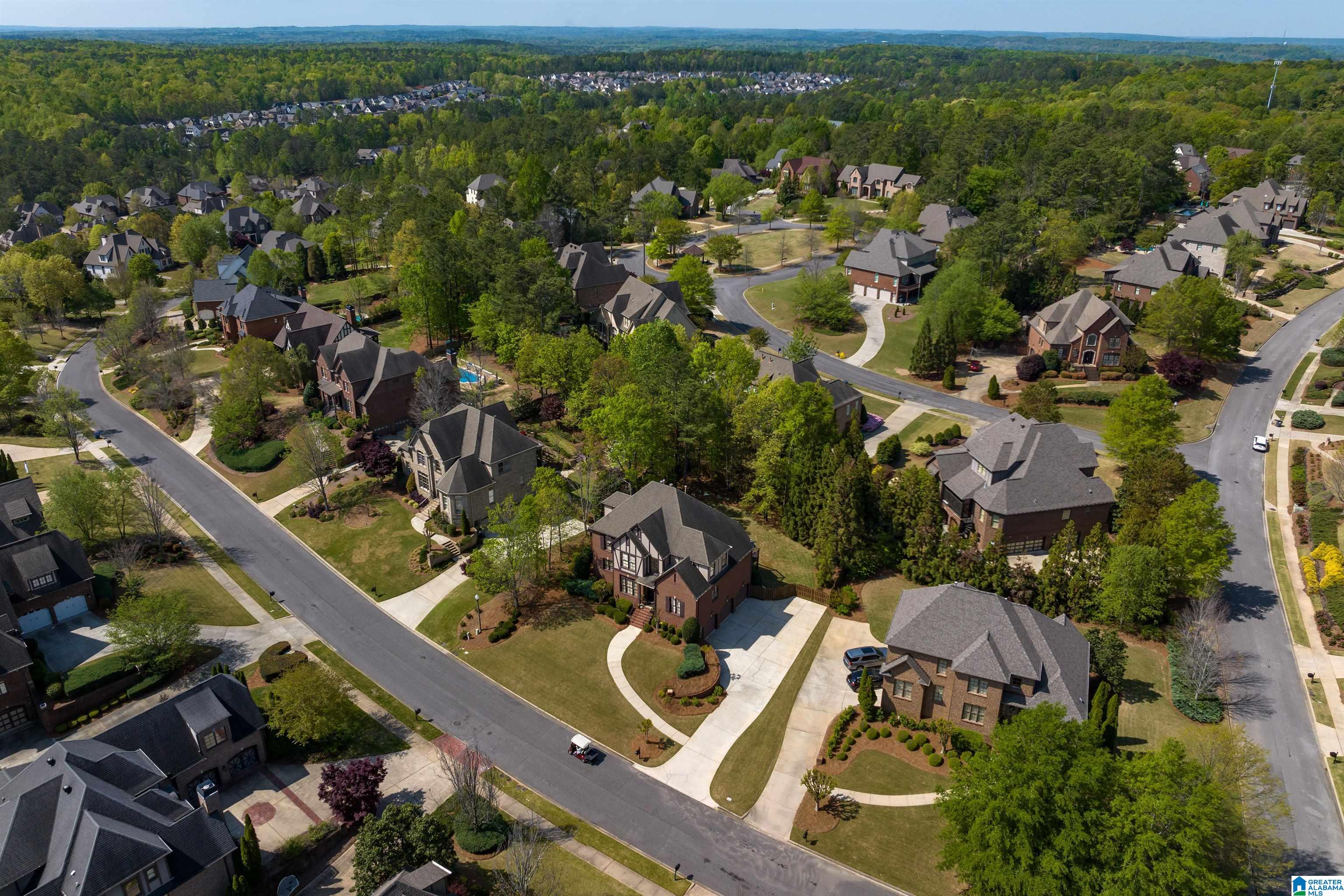 3921 Butler Springs Way Birmingham, AL 35226 - Photo 48 of 68